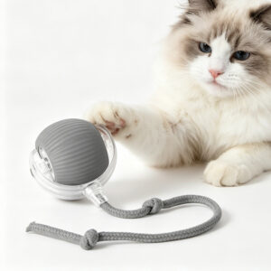 Interactive Pet Ball