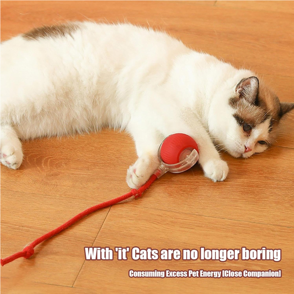 Interactive Pet Ball - Image 7