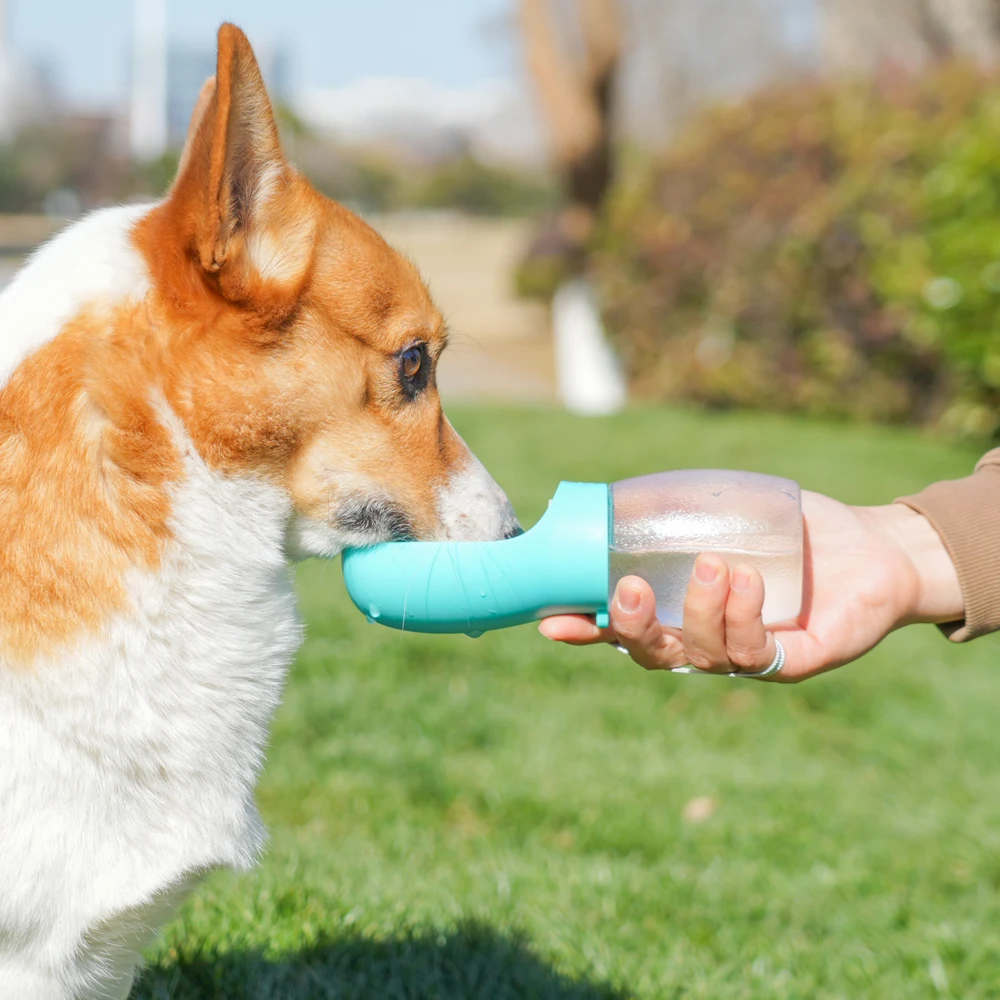 PetzChoice TravelHydrate™ Water Bottle - Image 4