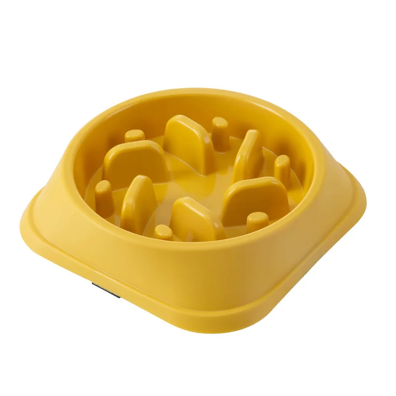 Healthy Pace Slow Feeder Bowl for Dogs & Cats - Image 5