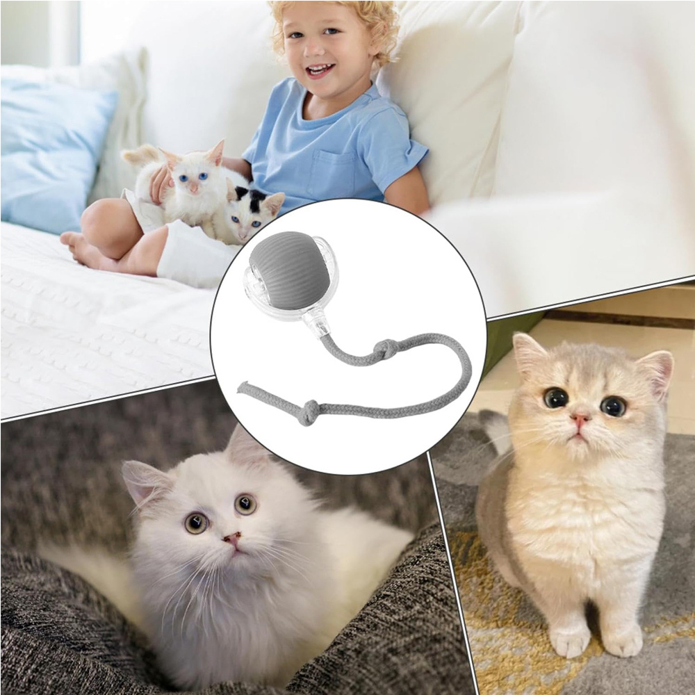 Interactive Pet Ball - Image 10