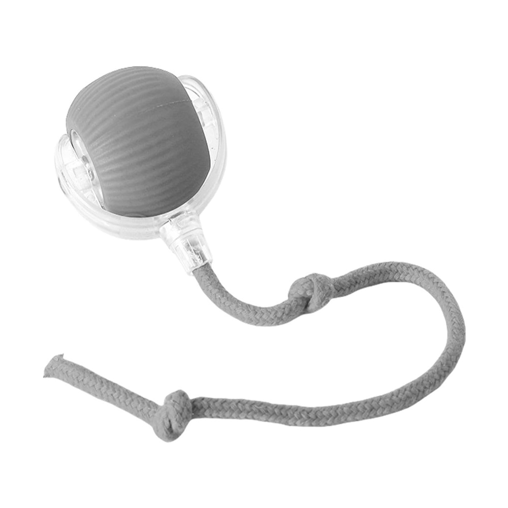 Interactive Pet Ball - Image 3